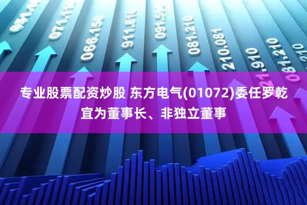 专业股票配资炒股 东方电气(01072)委任罗乾宜为董事长、非独立董事