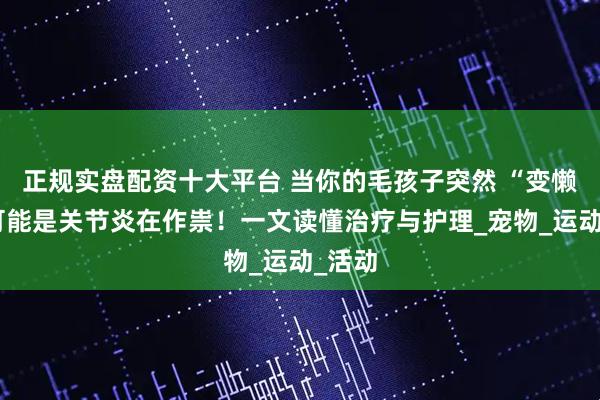 正规实盘配资十大平台 当你的毛孩子突然 “变懒”，可能是关节炎在作祟！一文读懂治疗与护理_宠物_运动_活动