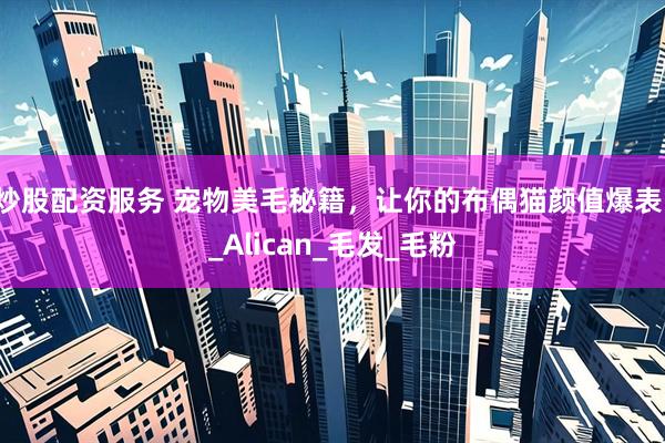 炒股配资服务 宠物美毛秘籍，让你的布偶猫颜值爆表！_Alican_毛发_毛粉